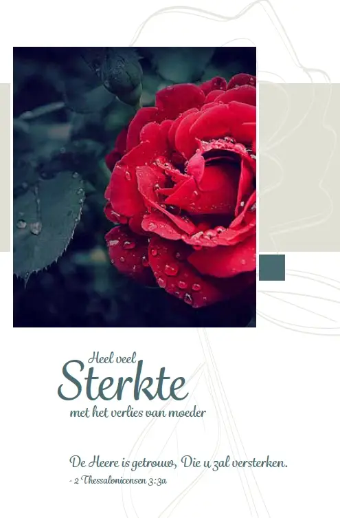 Deelneming Moeder m/t