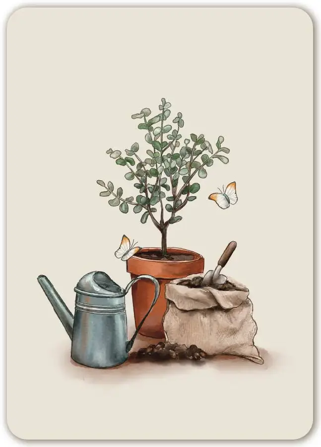 Kaart: A6 Blanco (zonder opdruk)