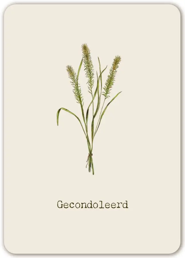 Kaart: A6 Deelneming