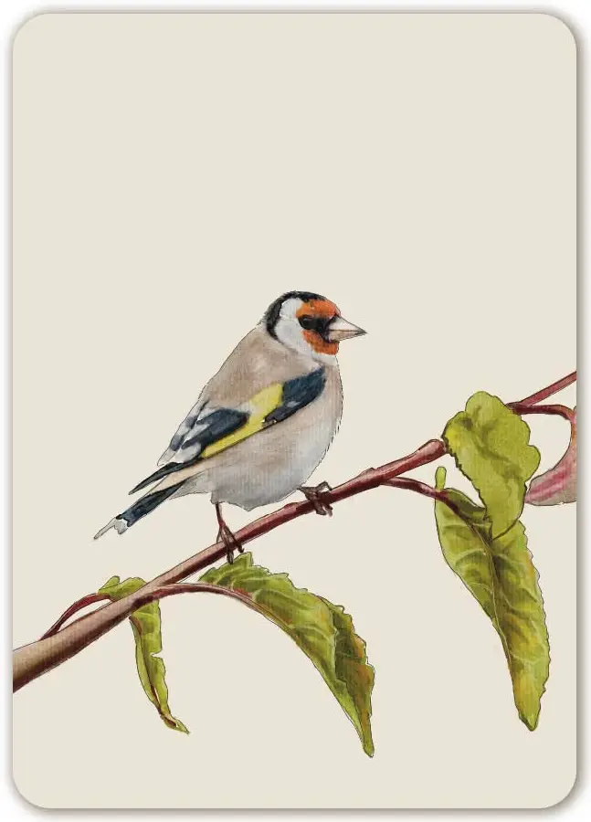 Kaart: A6 Blanco (zonder opdruk)