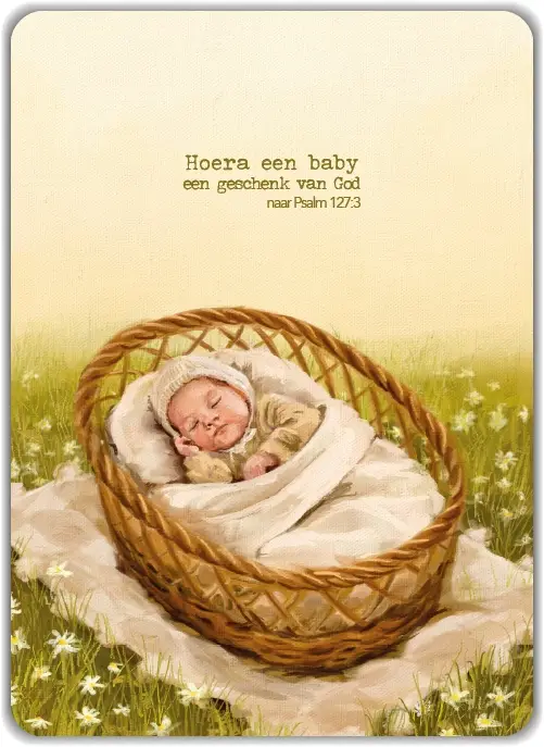 Kaart: Hoera een baby