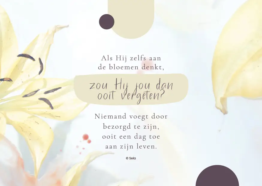 Enkele kaart: Als Hij zelfs aan