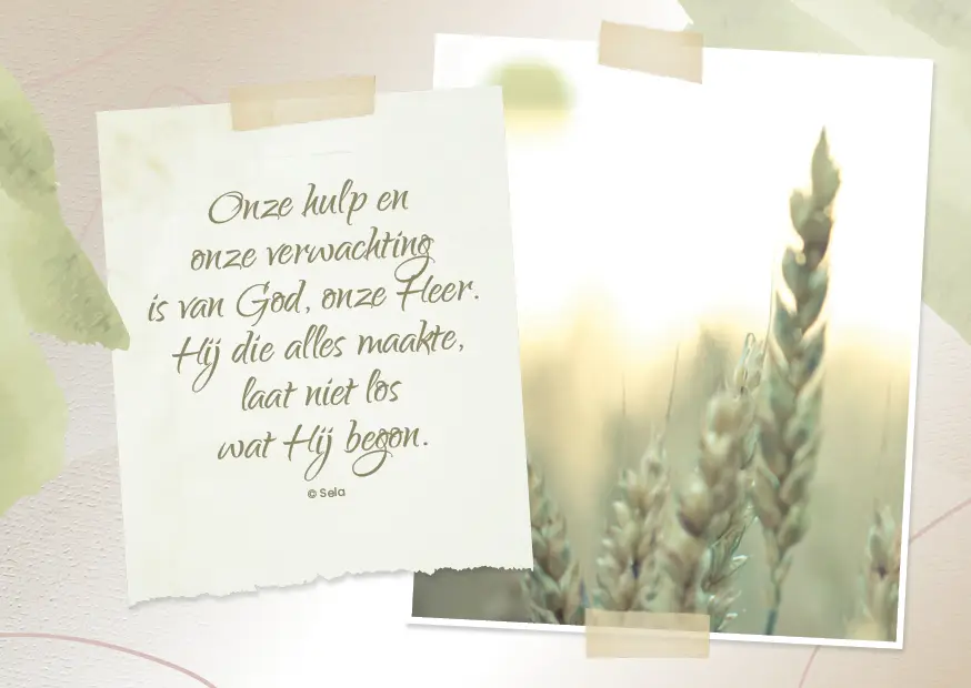 Enkele kaart: Onze hulp