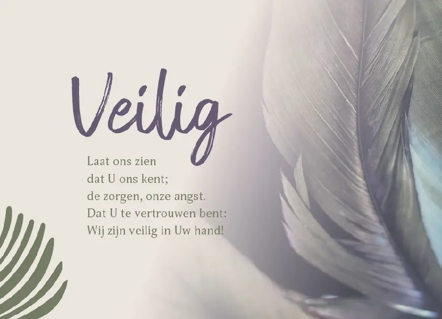 Enkele kaart: Veilig in uw hand