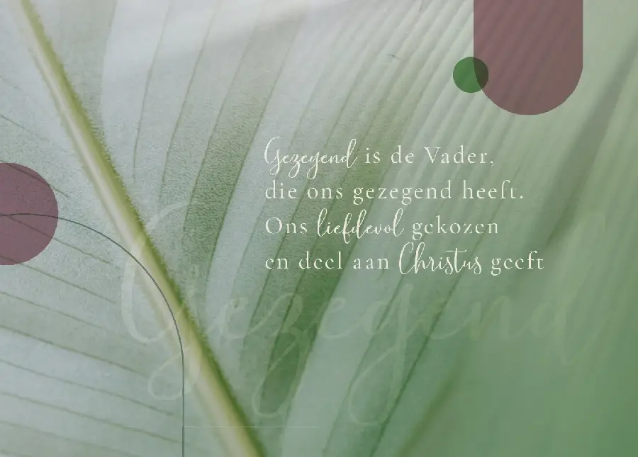 Enkele kaart: God van leven