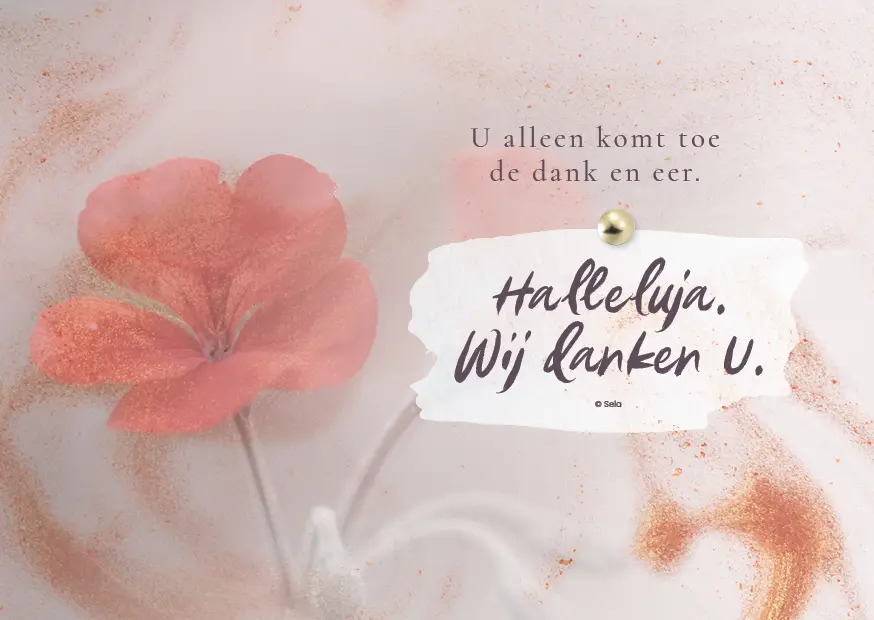 Enkele kaart: U alleen komt toe de dank