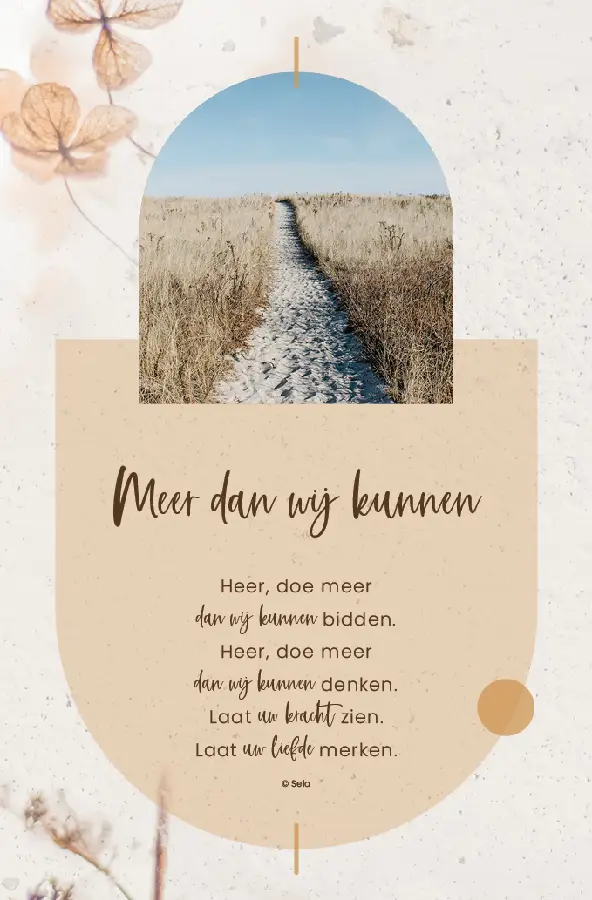 Enkele kaart: Meer dan wij kunnen