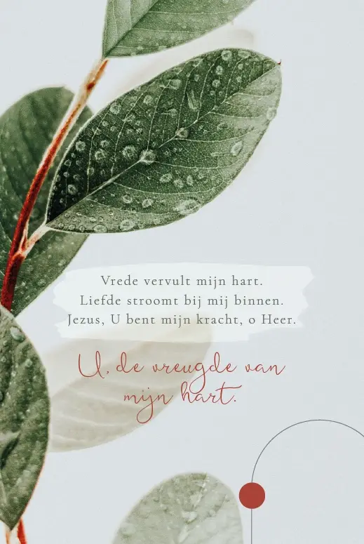 Enkele kaart: In U vind ik kracht