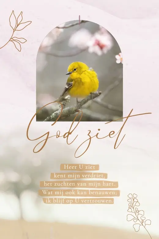 Enkele kaart: God ziet