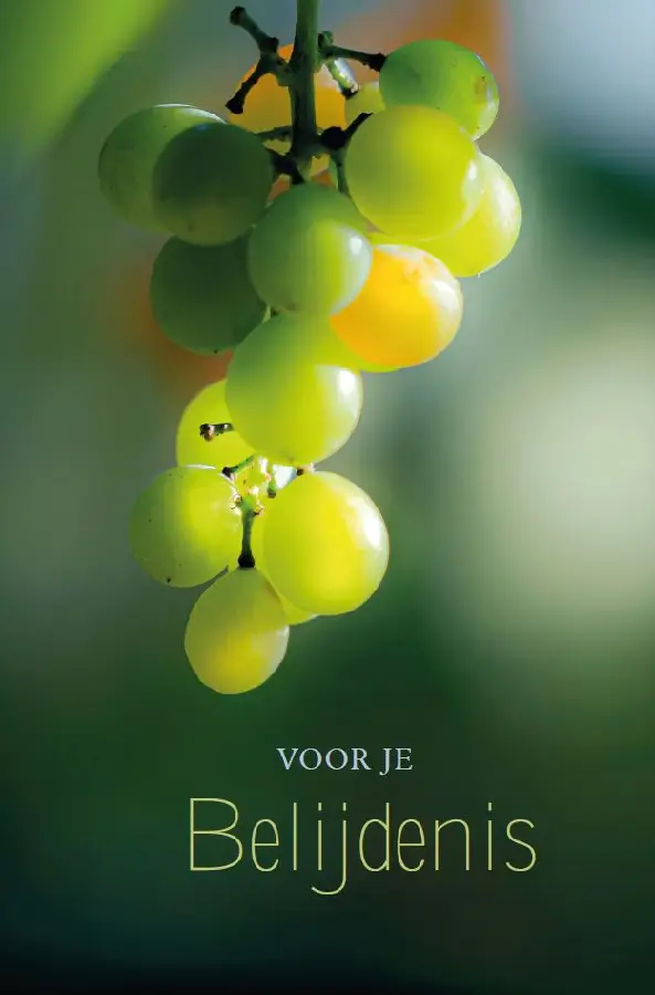 Kaart: A6 Voor je Belijdenis