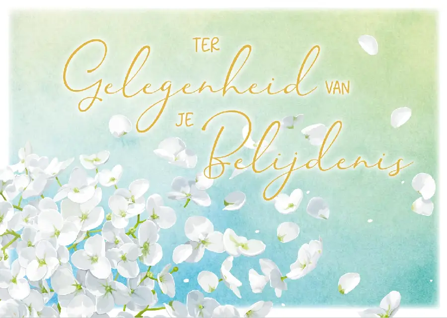 Kaart: A6 T. gelegenheid belijdenis