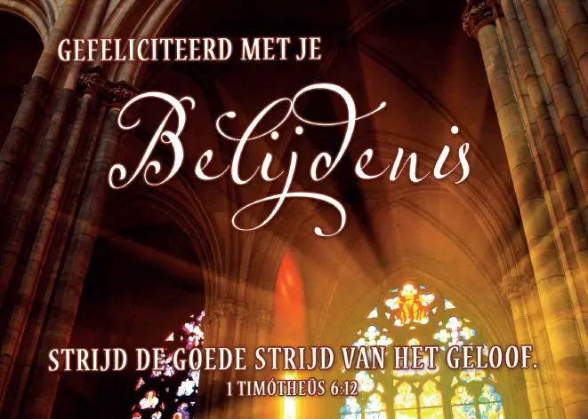 Kaart: A6 Gefeliciteerd belijdenis