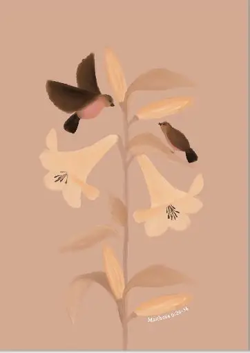 Poster: A3 Lelies en musjes