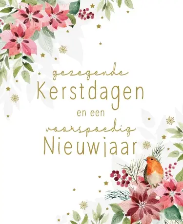 Hangdoosje: Goede Kerstdagen (10 stuks)