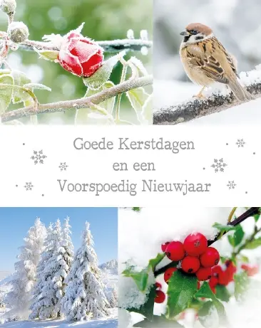 Hangdoosje: Gezegende Kerstdagen (10 st)