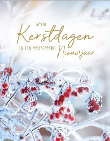 Hangdoosje: Goede Kerstdagen