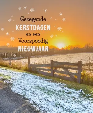 Hangdoosje: Gezegende Kerstdagen (10 st)