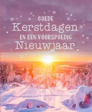 Hangdoosje: Goede Kerstdagen (10 stuks)