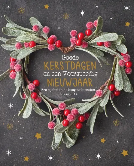 Hangdoosje: Goede Kerstdagen (10 stuks)