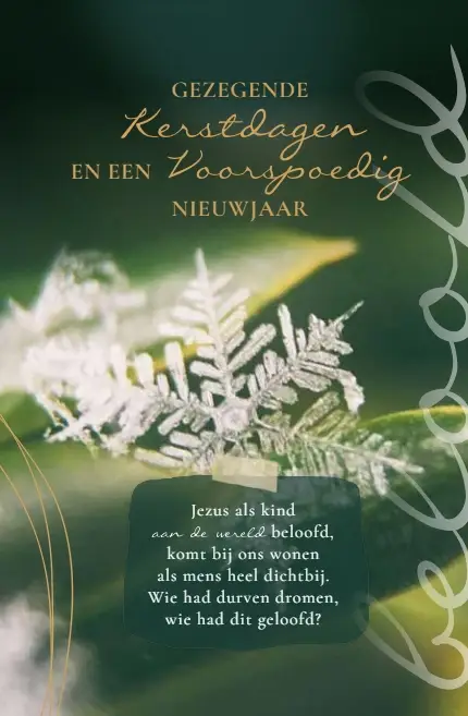 Gezegende Kerstdagen