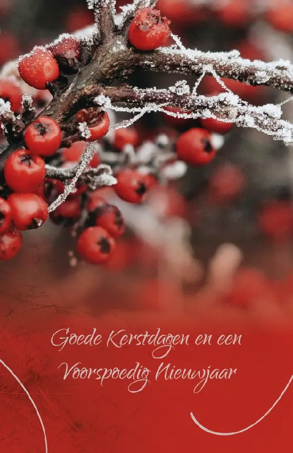 Het Licht schijnt in de duisternis