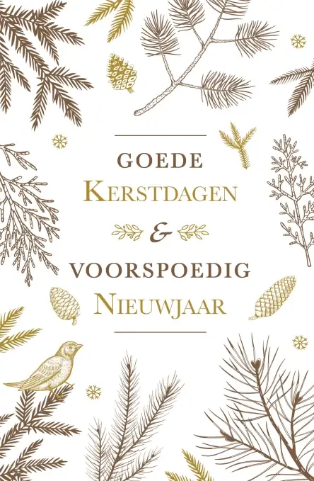 Kerstbox Goede K/N Zwart/wit/goud