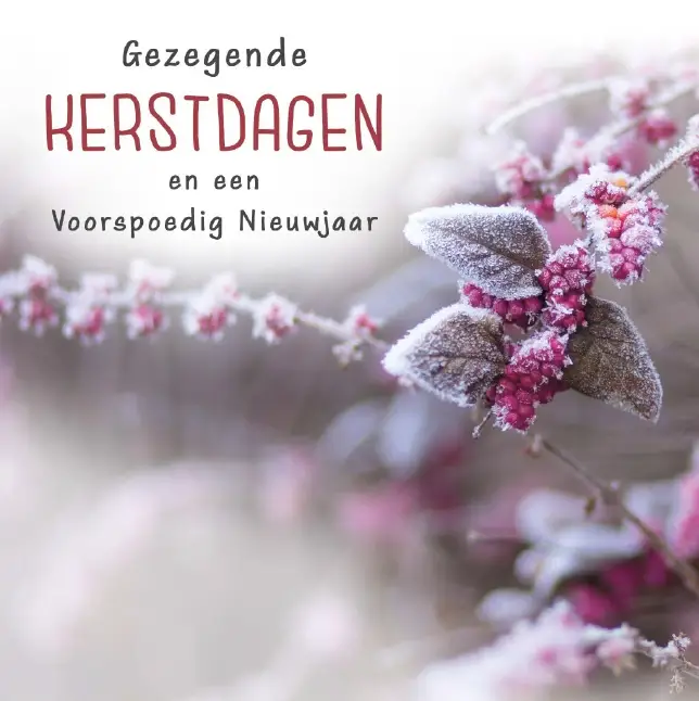 Kerstbox Gezegend K/N