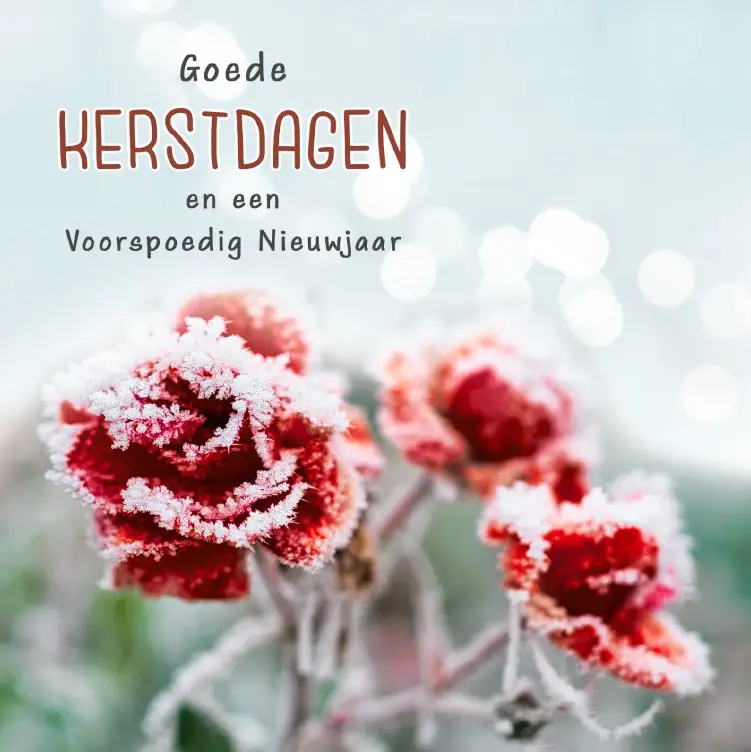Kerstbox Goede K/N