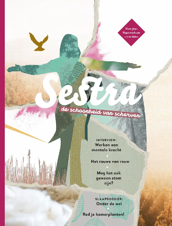 De schoonheid van scherven