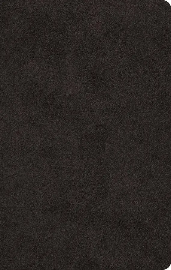 ESV-LP Value Thinline