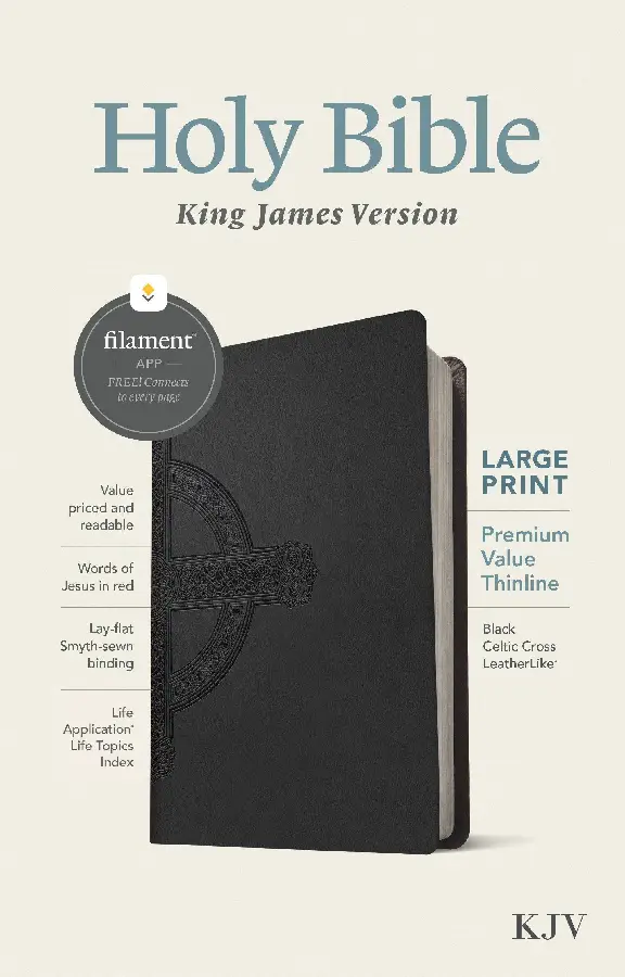 KJV - Large Print Thinline Bible Black