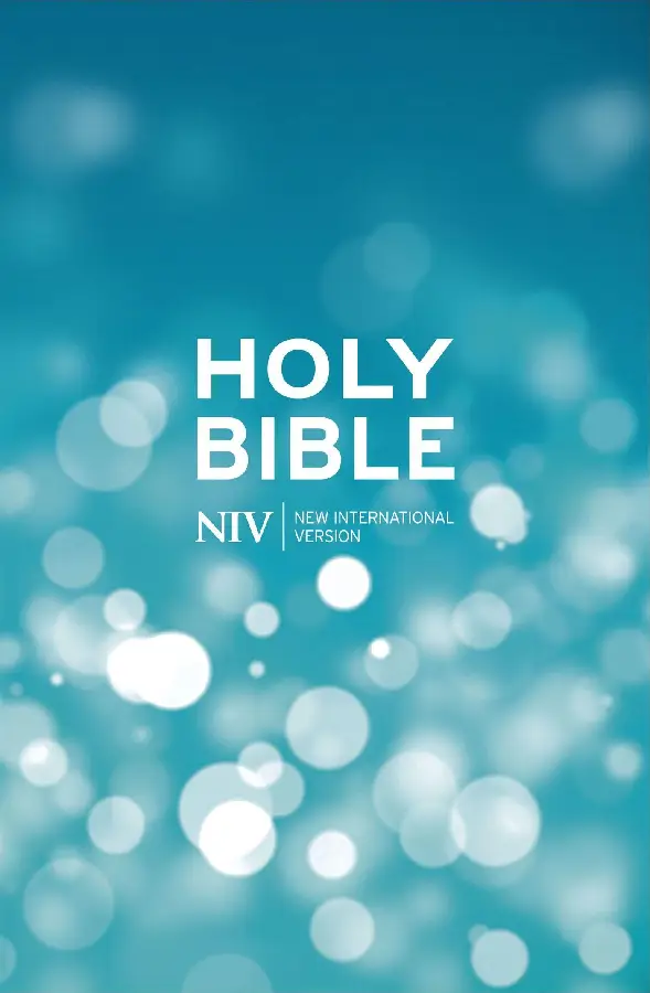 NIV - Popular Bible Blue hardcover
