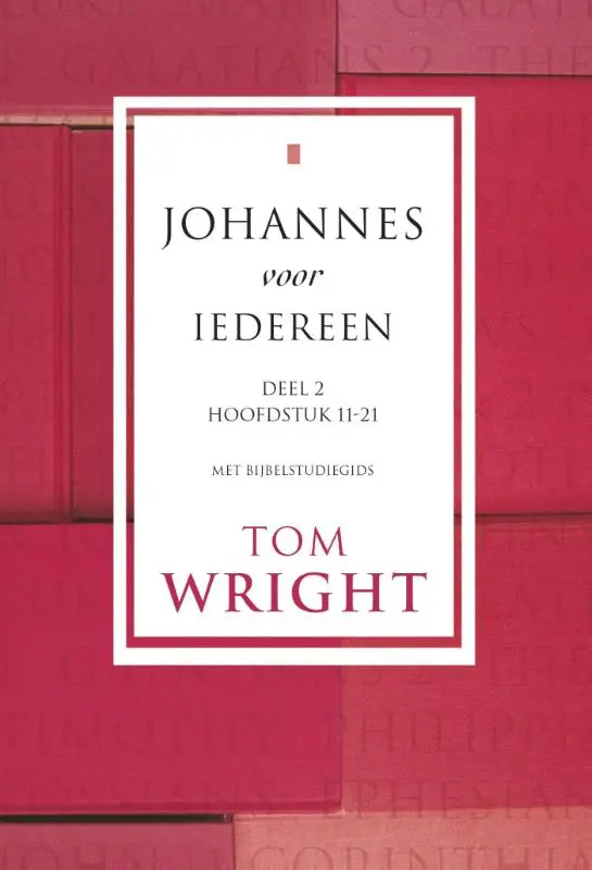 Johannes voor iedereen / deel 2 (inclusief Bijbelgids)