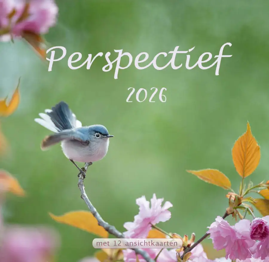 Kalender 2025 perspectief NBV21