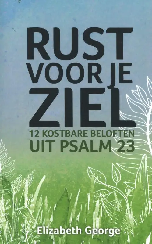 12 kostbare beloften uit Psalm 23