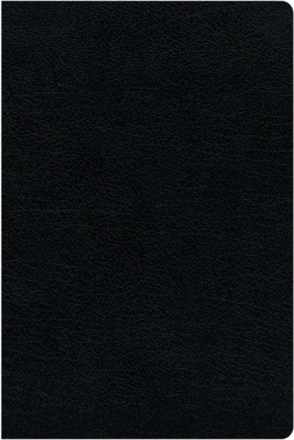 Bible: Parallel KJV / Amplified