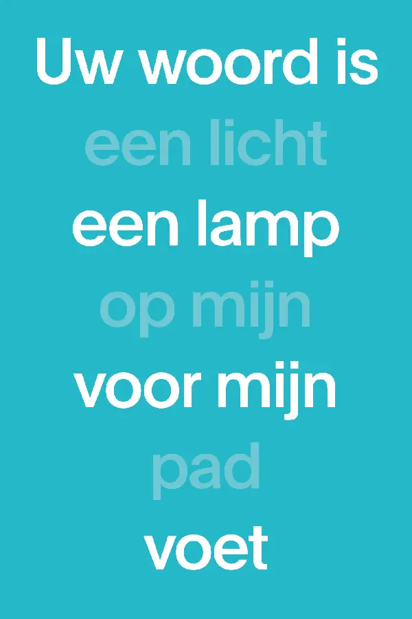 NBV21 Paperback blauw