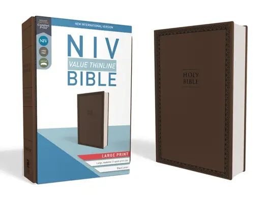 NIV Value Thinline Bible brown