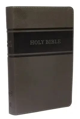 KJV Deluxe gift Bible grey imit. leat